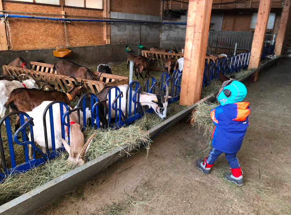 La ferme découverte