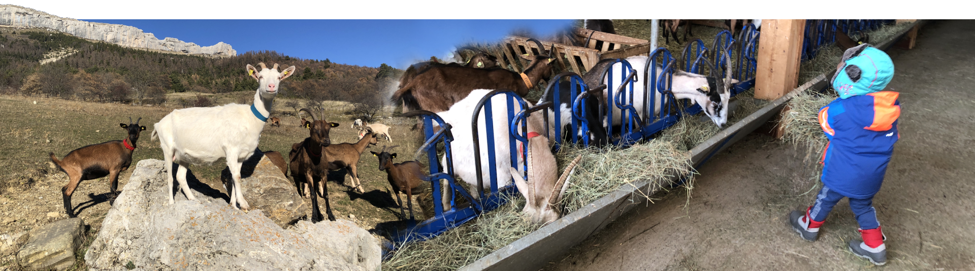 Ferme découverte